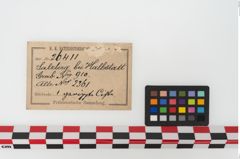Etikett zu Bronzerippenziste (NHMW-PRAE-026411)